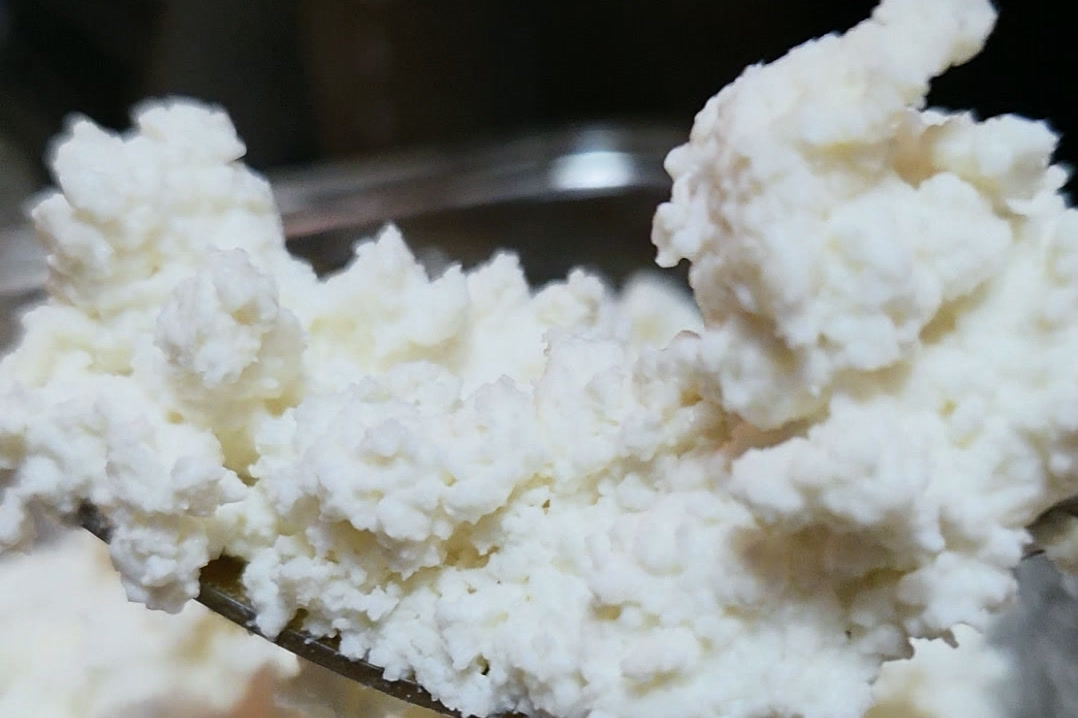 Close-up of fresh homemade cottage cheese curds on a spoon